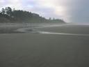 Misty beach -- Olympic National Park.